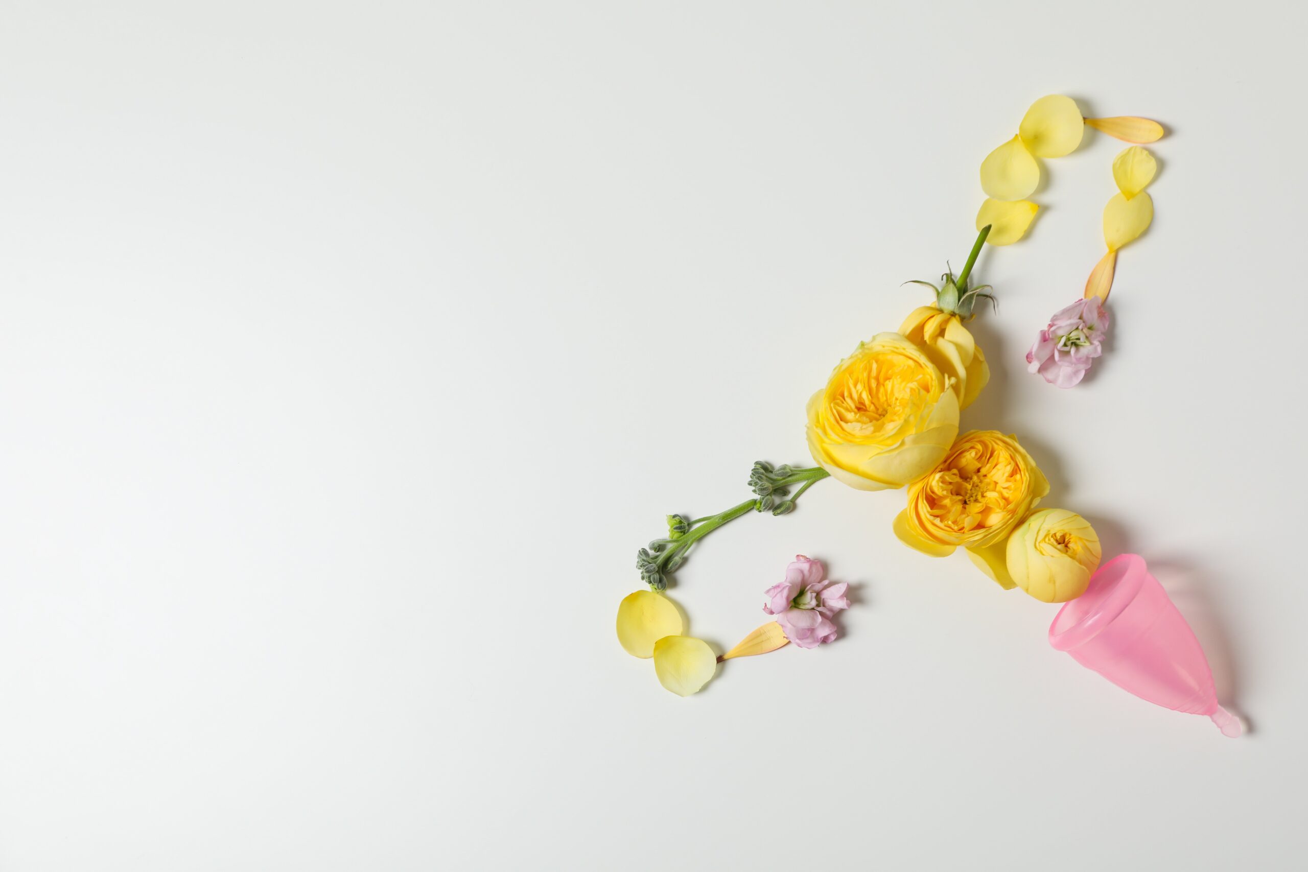 子宮を花で表現した画像